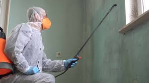 Best Mold Prevention Services  in Wildomar, CA